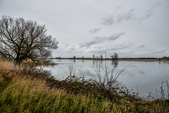 Elbe bei Tangermünde