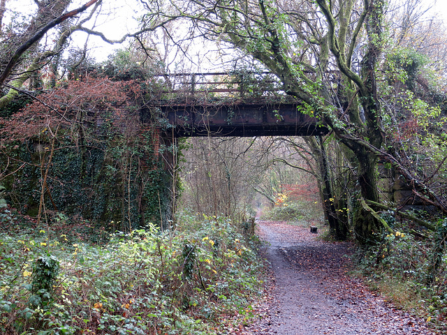 Old railway bridge