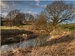The Cam at Little Chesterford, Essex