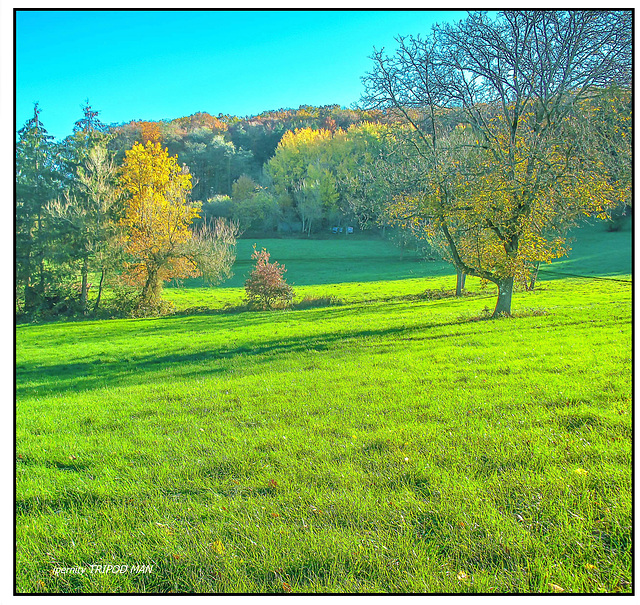 Markgräflerland Herbst 22