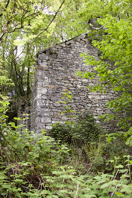 Melin Llech Mill