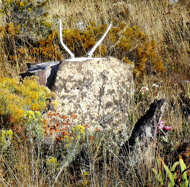 Antlers in remembrance