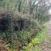 Water tank remains