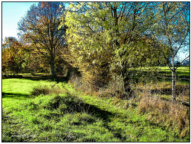 Markgräflerland Herbst 22