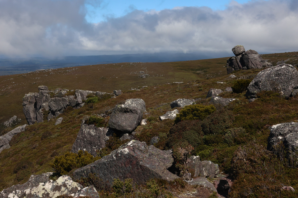 Near the summit of Black Bluff