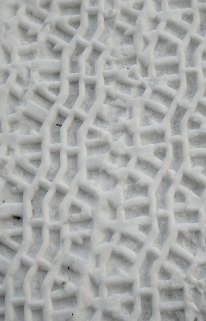 Mule tracks in the snow