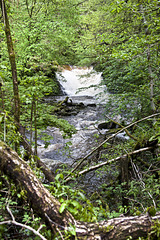 Melin Llech Mill