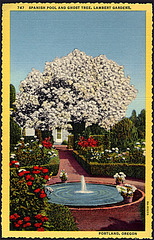 Lambert Gardens Postcard No. 747, c1940