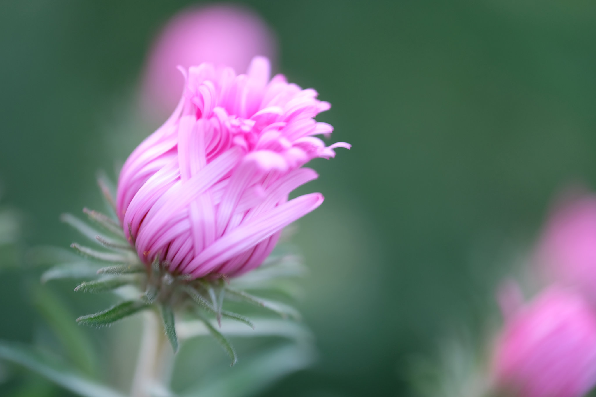 DSCF4973
