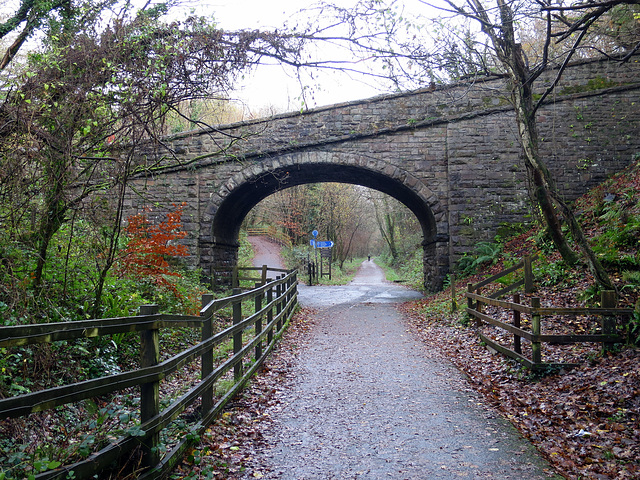 Old railway bridge