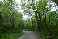 ce petit chemin.................. ce petit chemin..................