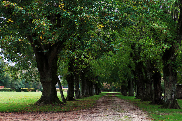 L'allée du château privé de Fains-la-Folie ( 28 )