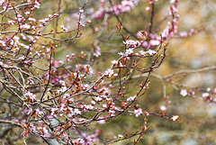 Spring is here..