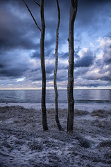 Weststrand-39