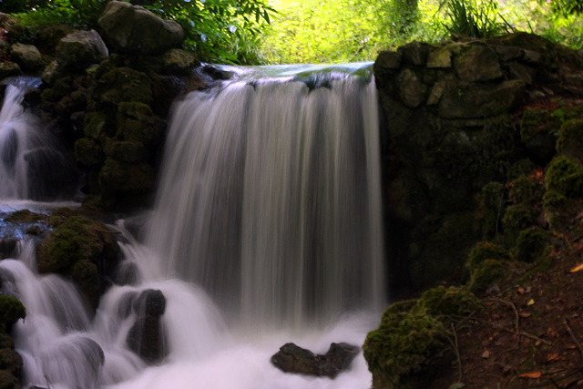 Birr Castle Parc