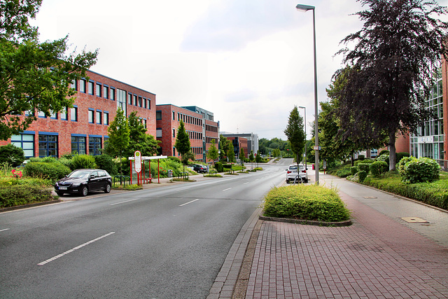 Emil-Figge-Straße (Dortmund-Barop) / 2.06.2018