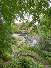 The River Findhorn