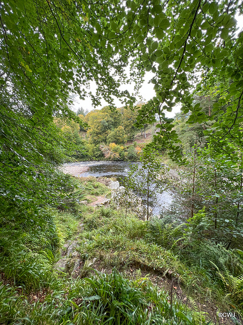 The River Findhorn