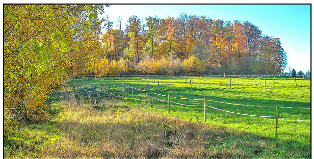 Markgräflerland Herbst 22