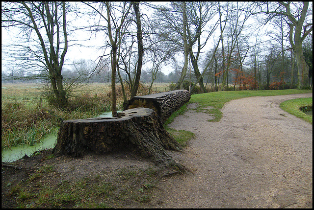 tree trunk seats