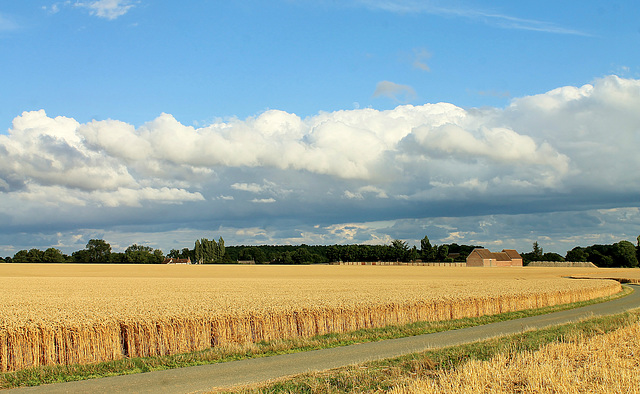 ciel de Picardie