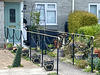 Attractive Assistance Fences