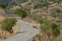 Sicilian Unnamed Road