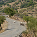 Sicilian Unnamed Road