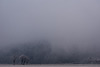 Marienburg im Nebel