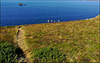 A stroll on the coast path. The dog leads the way.