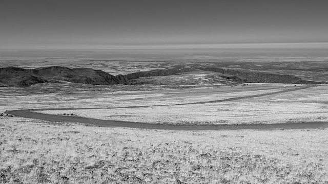 Road Down to Frenchglen