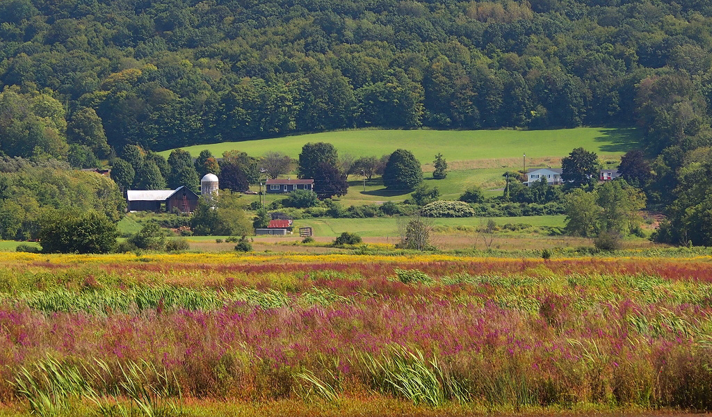 Farm