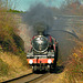 Great Central Railway Birstall 22nd November 2008