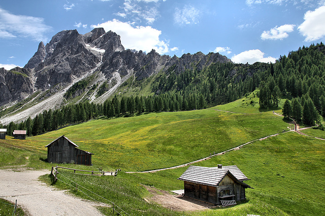 Rotwandwiesen mit der Rotwand im Hintergrund