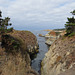 Point Lobos