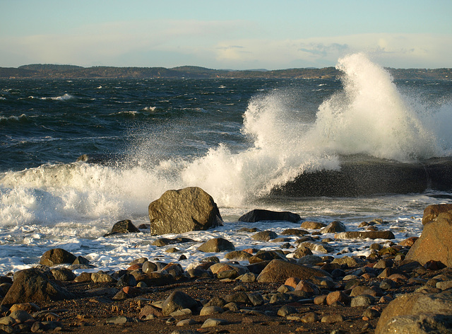 Moutmarka, fresh breeze