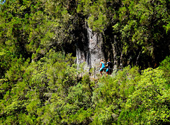 HFF Levada-Wandern auf Madeira