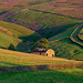 Some evening light on the edge of Peak District National Park