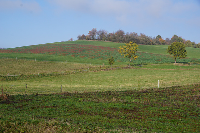 Noch scheint die Sonne