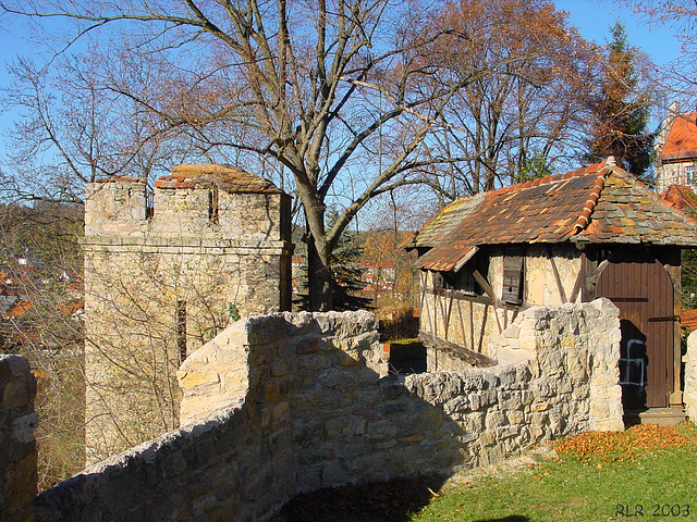 Kranichfeld, Niederburg