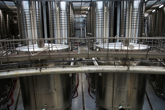 Cuves en inox dans ce chai viticole situé dans le Gard . Stockage 10 millions de bouteilles . Monique était aux anges .