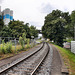 Hafenbahngleis neben der Sympherstraße (Duisburg-Meiderich) / 22.07.2023
