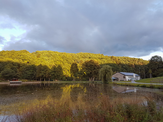 Blankenheim - Schwanenweiher