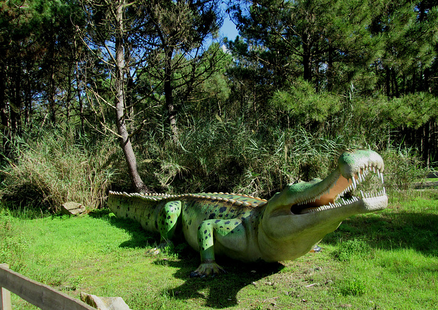 Sarcosuchus (lower cretacic period).