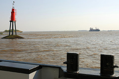 Nr. 49: Leitfeuer Rhinplate Nord (2 PiP)