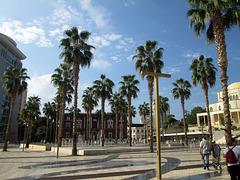 Morning in the square.