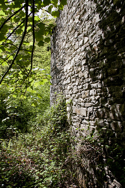 Melin Llech Mill