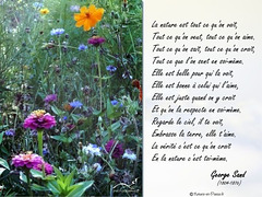 poeme-nature 2