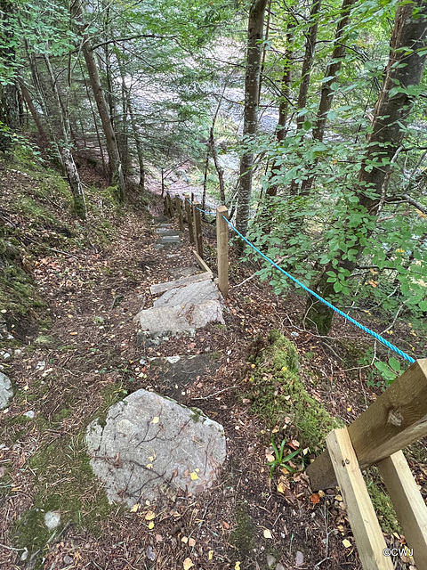 Fisherman's track down to the River Findhorn