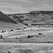 Terrain west of Benson Pond